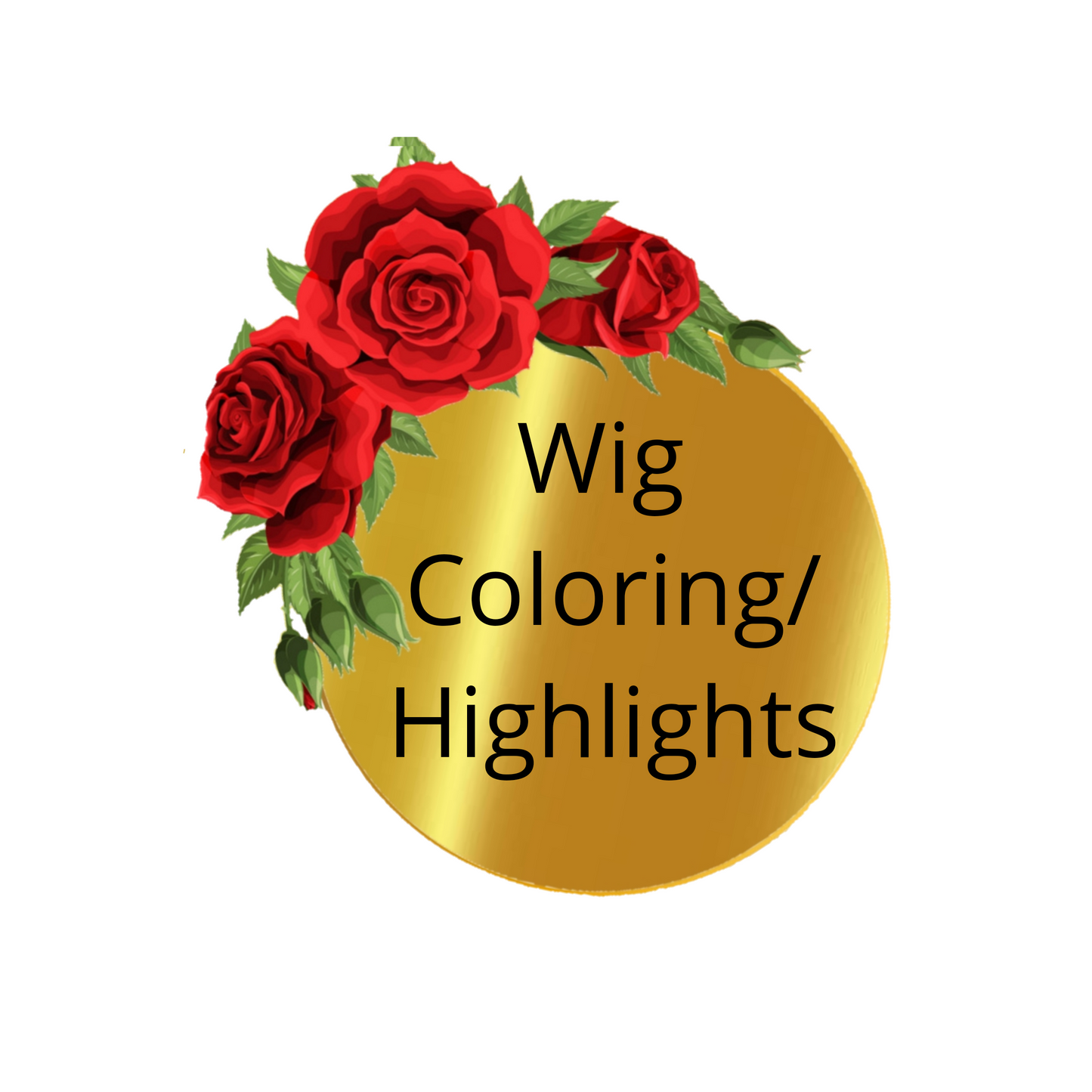 Wig Coloring/Highlights
